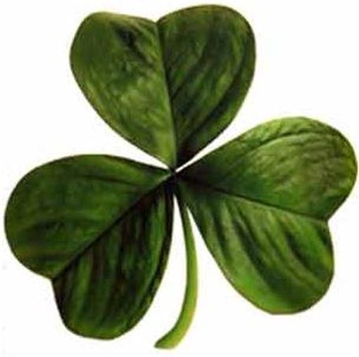 Shamrock, Īrijas emblēma