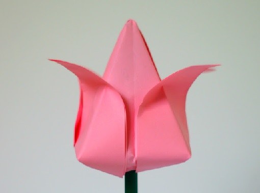 Origami tulpes: skaisti un eleganti